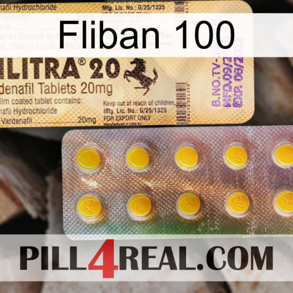 Fliban 100 new06.jpg